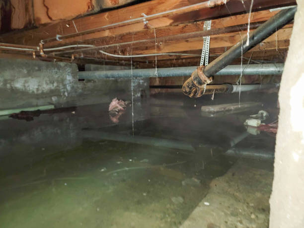 Best Water damage cleanup near me  in St John, KS