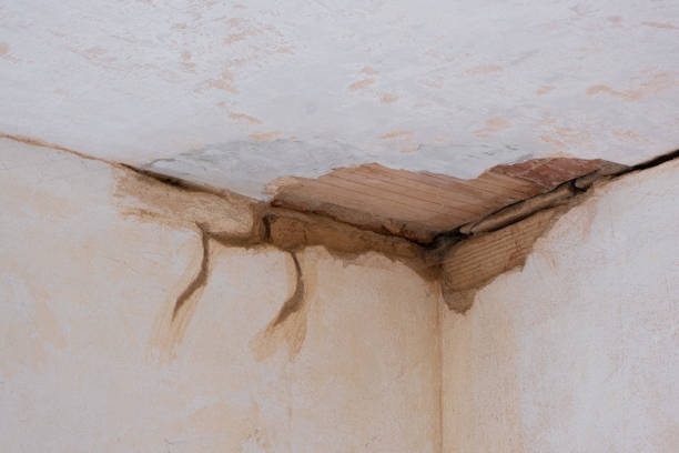 Best 24-hour water damage restoration  in St John, KS